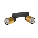 SLV Applique et plafonnier PURI 2.0 - TUBE � 2 flammes, langue GU10 IP20, or, noir gradable