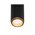 SLV Projecteur triphas� GRIP! M DALI pivotant, contr�lable par DALI, UGR < 19 IP20, or mat gradable