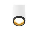 SLV ceiling luminaire GRIP!S DOUBLE suitable for VDU workstation IP20, black, white, lacquered dimmable