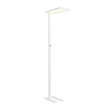 SLV Lampadaire WORKLIGHT EASY FL avec interrupteur, adapt� aux postes de travail avec �cran, blanche gradable