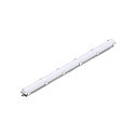 Luminaire pour locaux humides WATERPROOF C 1200 ML DALI contr�lable par DALI, CCT Switch, multipower IP65, gris gradable