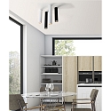 ACB Luminaire de plafond ZOOM 45 GU10 IP20, noir  