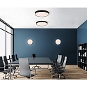 Luminaire de plafond ROMA 3974/60 avec diffuseur IP20