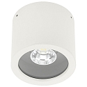 Plafonnier ext�rieur TYPE NO 2319 pivotant 44, blanc mat gradable