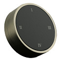 T�l�commande RWTDBTBABCR rond, programmable, acier inoxydable bross�