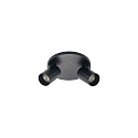 Luminaire de plafond TAGES � 2 flammes, rond GU10 IP20, noir mat gradable