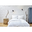 Casablanca Luminaire mural CLAVIO rond, dimmable E27 IP20, aluminium brossé, anthrazit gradable