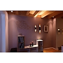 Deko-Light Luminaire mural APODIS IP20, or rose, noir  gradable