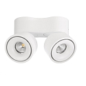 Deko-Light Luminaire de plafond UNI II DOUBLE TILT � 2 flammes, pivotant � la cardan IP20, blanche gradable