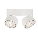 Deko-Light Luminaire de plafond UNI II DOUBLE TILT � 2 flammes, pivotant � la cardan IP20, blanche gradable