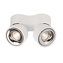 Deko-Light Luminaire de plafond UNI II DOUBLE TILT � 2 flammes, pivotant � la cardan IP20, blanche gradable