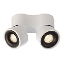 Deko-Light Luminaire de plafond UNI II DOUBLE TILT � 2 flammes, pivotant � la cardan IP20, blanche gradable