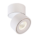 Luminaire de plafond UNI II MAX TILT pivotant � la cardan IP20, blanche gradable