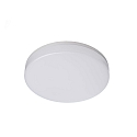 Plafonnier ext�rieur ALTAIS � 22CM CCT Switch, c�bl� en continu IP54, blanche 