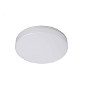 Plafonnier ext�rieur ALTAIS MOTION � 22CM avec capteur, CCT Switch, programmable IP54, blanche 
