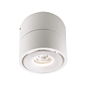 Deko-Light Luminaire de plafond UNI II MINI TILT � 1 flamme, pivotant � la cardan IP20, blanche gradable