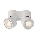 Deko-Light Luminaire de plafond UNI II MINI DOUBLE TILT � 2 flammes, pivotant � la cardan IP20, blanche gradable