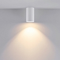 downlight CAN cylindrical, rigid GU10 IP20, white
