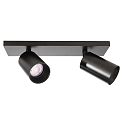 Deko-Light ceiling luminaire CAN TILT SQUARE 30.5CM 2 flames, square, cardanic swivelling GU10 IP20, black