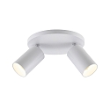 Deko-Light Luminaire de plafond CAN TILT ROUND � 20CM � 2 flammes, rond, pivotant � la cardan GU10 IP20, blanche