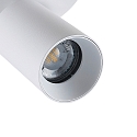 Deko-Light Luminaire de plafond CAN TILT ROUND � 20CM � 2 flammes, rond, pivotant � la cardan GU10 IP20, blanche