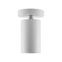 Deko-Light Luminaire de plafond CAN TILT ROUND BASE � 8CM MIX�N MATCH � 1 flamme, rond, sans abat-jour