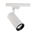 Projecteur triphas� LUCEA 30 IP20, transparent, blanche gradable