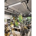 Deko-Light Luminaire triphas� LINEAR PRO 60 contr�lable par DALI, multipower IP20, noir trafic gradable