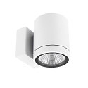 Projecteur de fa�ade SHORELINE PRO ROUND 100 DOWN � 1 flamme, rond, CCT Switch IP65, blanche gradable