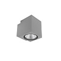 Projecteur de fa�ade PRO SQUARE 100 DOWN � 1 flamme, angulaire, CCT Switch IP65, gris clair gradable
