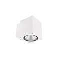 Projecteur de fa�ade PRO SQUARE 100 DOWN � 1 flamme, angulaire, CCT Switch IP65, blanche gradable