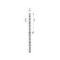 Deko-Light Bande LED 2835 SMD flexible blanche