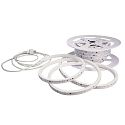 Bande LED flexible transparent, blanche
