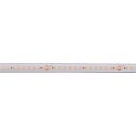 Bande LED LONG RUN