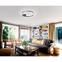 Fabas Luce Luminaire de plafond GIOTTO 1 voie, contr�lable par la voix, Smartluce inclus IP20, satin�, noir gradable