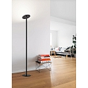 Lampadaire REGINA IP20, satiné, noir gradable