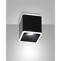 Luminaire de surface COIBA angulaire IP20, satiné, noir