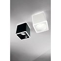 Fabas Luce Luminaire de surface COIBA angulaire IP20, satiné, noir