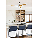 Faro Ventilateur plafonnier ALO CCT avec télécommande IP20, noir mat, pin
