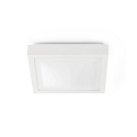 Luminaire de salle de bain TOLA E27 IP44, blanc mat 