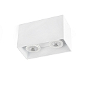 Luminaire de plafond TECTO à 2 flammes GU10 IP20, blanc mat 