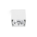 Luminaire de plafond TECTO G53 IP20, blanc mat 