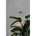 Faro Luminaire mural d'extérieur UVE LED IP44, gris foncé 