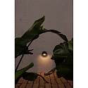 Luminaire mural d’extérieur BROW LED IP44, gris foncé 