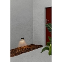 Faro Luminaire mural d'extérieur MUST LED IP65, gris foncé 