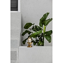 Faro Applique et plafonnier MAUREN E27 IP44, laiton 