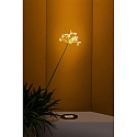 Faro Projecteur encastr� TRAS 25L / 13� / 700MA 12 flammes, rigide IP67, noir mat gradable