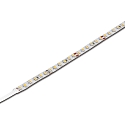 Bande LED LED BASIC TAPE 2 avec prise de courant 500cm, 40W 6500K 120� CRI 90-100