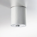 Surface mounted spot ADL9001, round, GU10, IP20, 25° swiveling, brushed aluminum