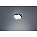 Luminaire de plafond COSI IP30, satin�, noir mat gradable